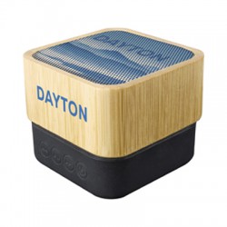 Wired & Bluetooth Headphones - Dayton Wireless Speaker