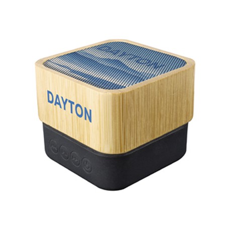 Wired & Bluetooth Headphones - Dayton Wireless Speaker