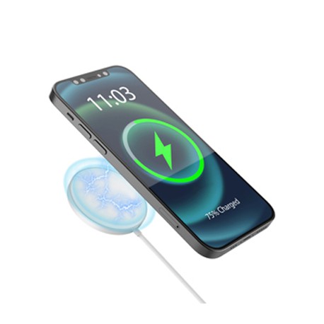 Phone & Tablet Chargers - Wolf Magnetic Wireless Charger