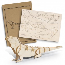Executive Games - BRANDCRAFT Tuatara Wooden Model