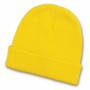Beanies - Everest Youth Beanie