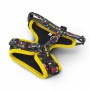 Custom Printed Lanyards - Amigo Pet Harness