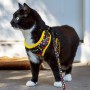 Custom Printed Lanyards - Amigo Pet Harness
