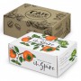 Gift Bags - Die Cut Box with Locking Lid - 300x225x113mm