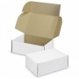 Gift Bags - Die Cut Box with Locking Lid - 300x225x113mm