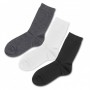 Workwear - June Business Socks