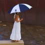 Corporate Umbrellas - Mickelson Golf Umbrella