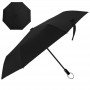 Folding Umbrellas - Windsor Compact Umbrella