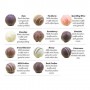12 Pack Asorted Truffles Packed in Gift Box