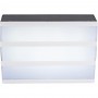 Executive Toys - Cinema Light Box