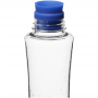 Brighton BPA Free Sports Bottle