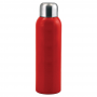 Guzzle Stainless Sports Bottle