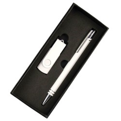Business Gifts - Gift Set - USB in 8G + Pen